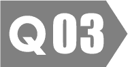 Q 03